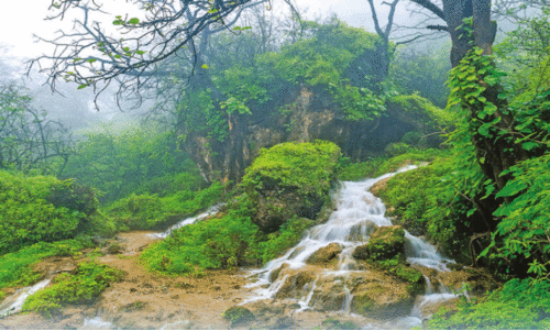 ശൈ​ത്യ​കാ​ല ടൂ​റി​സം; 400 ചാ​ർ​ട്ട​ർ വി​മാ​ന​ങ്ങ​ൾ ദോ​ഫാ​റി​ലെ​ത്തും