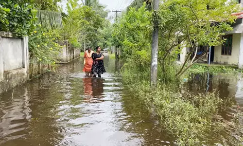 upper kuttanadu 9987