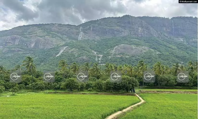 നെല്ലിയാമ്പതി മലനിരകൾ നെല്ലിയാമ്പതി മലനിരകൾ