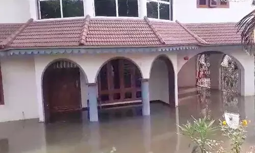 upper kuttanadu 8987