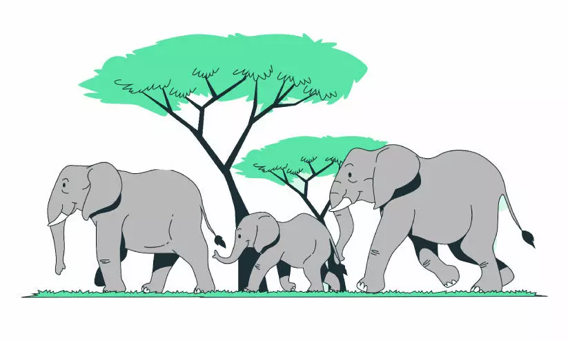 ഫണ്ടില്ലാത്തതിനാൽ നഷ്ടപരിഹാരമില്ല; കെട്ടിക്കിടക്കുന്നത് കുന്നോളം അപേക്ഷകൾ ഫണ്ടില്ലാത്തതിനാൽ നഷ്ടപരിഹാരമില്ല; കെട്ടിക്കിടക്കുന്നത് കുന്നോളം അപേക്ഷകൾ