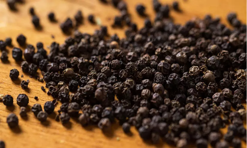 ‘തയാർ കുരുമുളക്’ ഓൺലൈൻ ലേലത്തിന് തുടക്കം