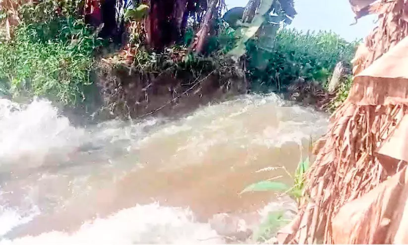 മഴ മാറിയിട്ടും ജലം ഇരച്ചെത്തുന്നു; ദുരിതത്തിൽ മുങ്ങി കുട്ടനാട് മഴ മാറിയിട്ടും ജലം ഇരച്ചെത്തുന്നു; ദുരിതത്തിൽ മുങ്ങി കുട്ടനാട്