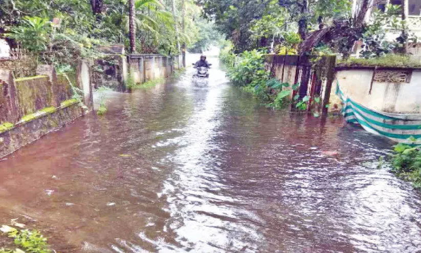 waterlogging waterlogging