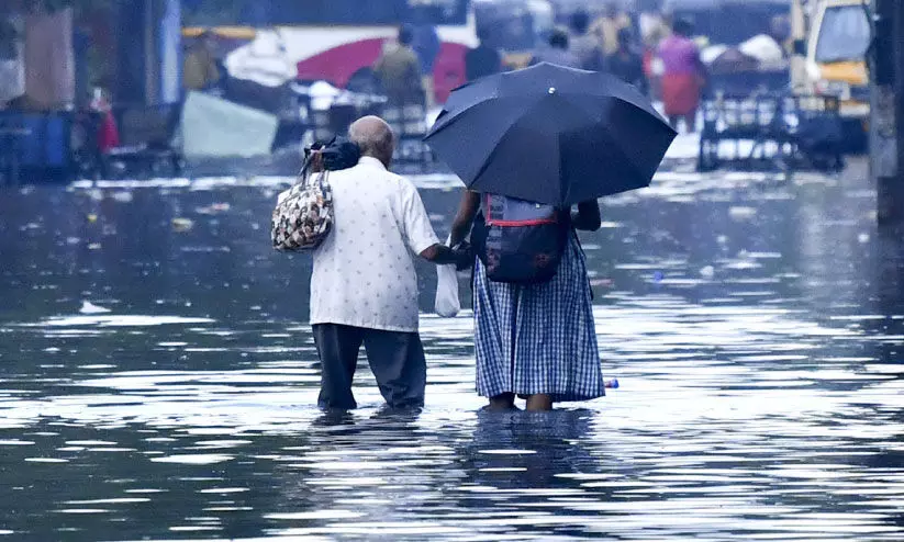 waterlogging waterlogging