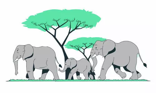 ഫ​ണ്ടി​ല്ലാ​ത്ത​തി​നാ​ൽ ന​ഷ്ട​പ​രി​ഹാ​ര​മി​ല്ല; കെ​ട്ടി​ക്കി​ട​ക്കു​ന്ന​ത് കു​ന്നോ​ളം അ​പേ​ക്ഷ​ക​ൾ