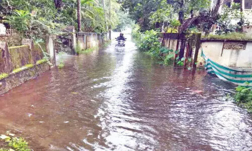 waterlogging waterlogging