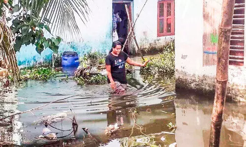 മഴ: അപ്പർകുട്ടനാട്ടിൽ വീടുകളിൽ വെള്ളം കയറി