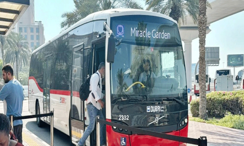 ദുബൈ മിറാക്ക്ൾ ഗാർഡനിലേക്കുള്ള ബസ് സർവിസ് ദുബൈ മിറാക്ക്ൾ ഗാർഡനിലേക്കുള്ള ബസ് സർവിസ്