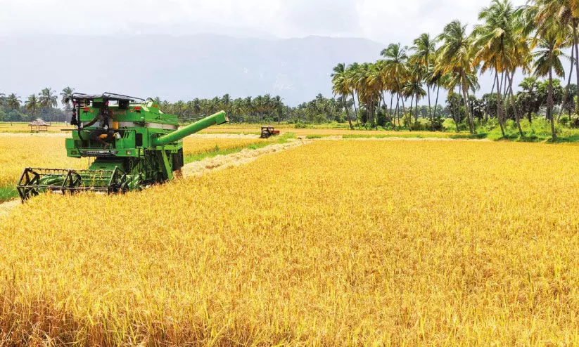 കൊ​യ്ത്ത് തു​ട​ങ്ങി; പൊ​തുവി​പ​ണി​യി​ൽ നെ​ല്ല് ന​ൽ​കാ​നൊ​രു​ങ്ങി ക​ർ​ഷ​ക​ർ