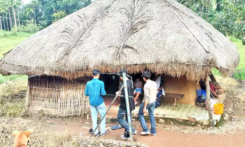 wild animals menace wild animals menace