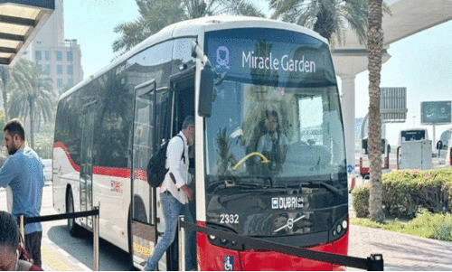 ദുബൈ മിറാക്ക്ൾ ഗാർഡനിലേക്കുള്ള ബസ് സർവിസ് ദുബൈ മിറാക്ക്ൾ ഗാർഡനിലേക്കുള്ള ബസ് സർവിസ്