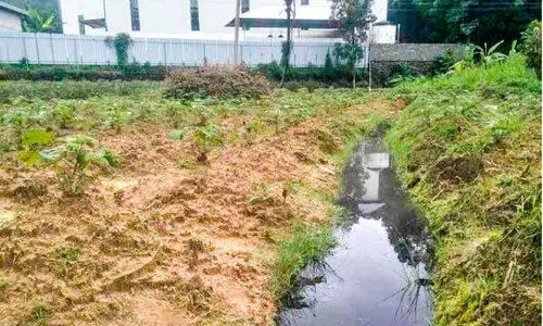 അവധി ദിവസം മില്ലില്‍നിന്ന് മലിനജലം തുറന്നുവിട്ടതായി പരാതി