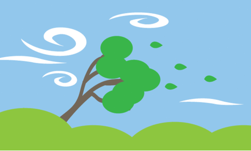 രാ​ജ്യ​ത്ത്​ വ​ട​ക്കു​പ​ടി​ഞ്ഞാ​റ​ൻ കാ​റ്റി​ന്​ സാ​ധ്യ​ത