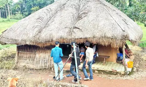 wild animals menace wild animals menace