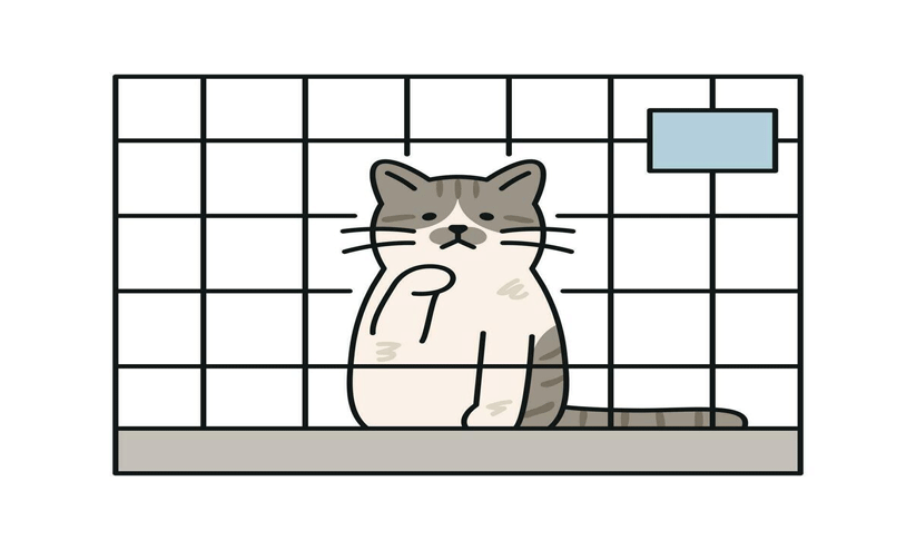 പൂച്ചകളെ മരുഭൂമിയിൽ ഉപേക്ഷിച്ചു;അന്വേഷണത്തിന്​ ഉത്തരവ്​