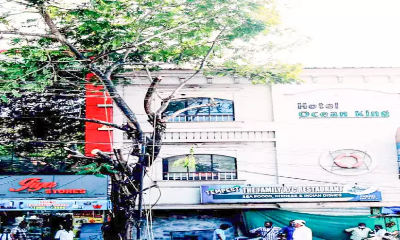 അവധി ദിനങ്ങളുടെ മറവിൽ സർക്കാർ വക വൻവൃക്ഷം മുറിച്ചു കടത്തി അവധി ദിനങ്ങളുടെ മറവിൽ സർക്കാർ വക വൻവൃക്ഷം മുറിച്ചു കടത്തി