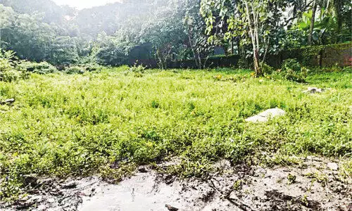 എ​ങ്ങു​മെ​ത്താ​തെ മൈ​ലി​ക്ക​ൽ പൊ​തു​ശ്മ​ശാ​നം ആ​ധു​നി​ക​വ​ത്ക​ര​ണം