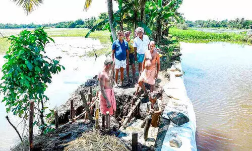 തുരുത്തി ഈരത്ര ഇഞ്ചൻതുരുത്ത് പാടശേഖരത്തിൽ മടവീഴ്ച