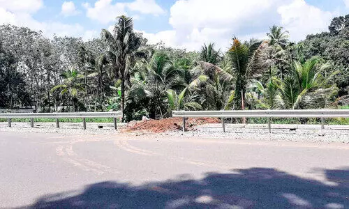 സംസ്ഥാന പാതയോരത്ത്​ നിലംനികത്തൽ വ്യാപകം ന​ട​പ​ടി സ്വീ​ക​രി​ക്കാ​തെ അ​ധി​കൃ​ത​ർ