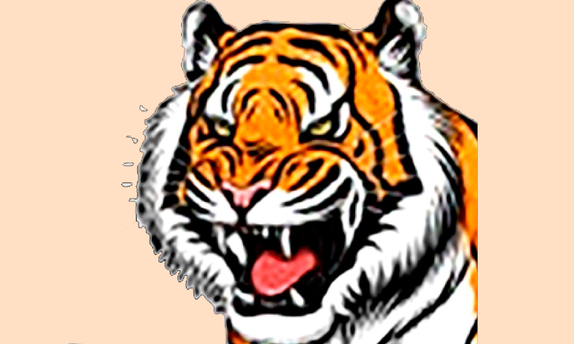 കൂടും കാത്തിരിപ്പും വെറുതെ; കൂട്ടിൽ കുടുങ്ങാതെ കടുവ കൂടും കാത്തിരിപ്പും വെറുതെ; കൂട്ടിൽ കുടുങ്ങാതെ കടുവ