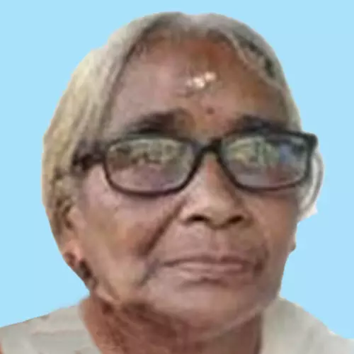 സൗ​ദാ​മി​നി