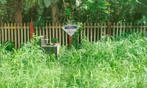 കാ​ടു​മൂ​ടി റെ​യി​ൽ​വേ സ്റ്റേ​ഷ​ൻ പ്ലാ​റ്റ്ഫോ​മു​ക​ൾ