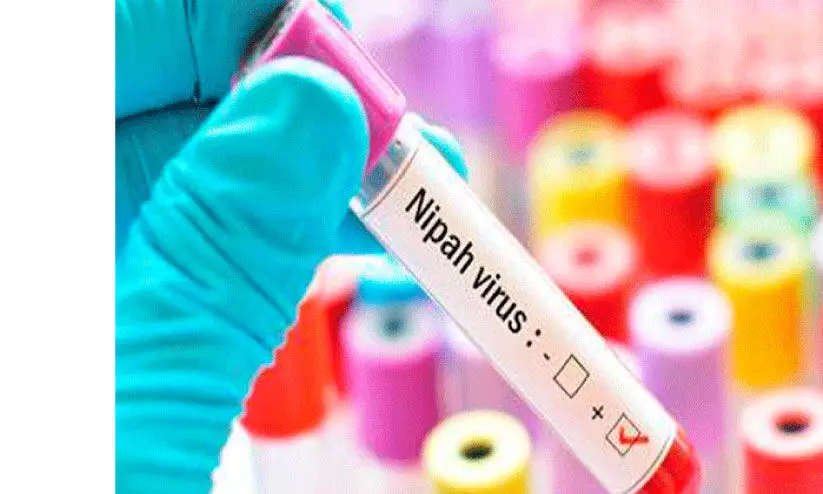 46 സാമ്പ്ൾ ഫലവും നെഗറ്റിവ്; നിപ വന്നവഴി അജ്ഞാതം 46 സാമ്പ്ൾ ഫലവും നെഗറ്റിവ്; നിപ വന്നവഴി അജ്ഞാതം