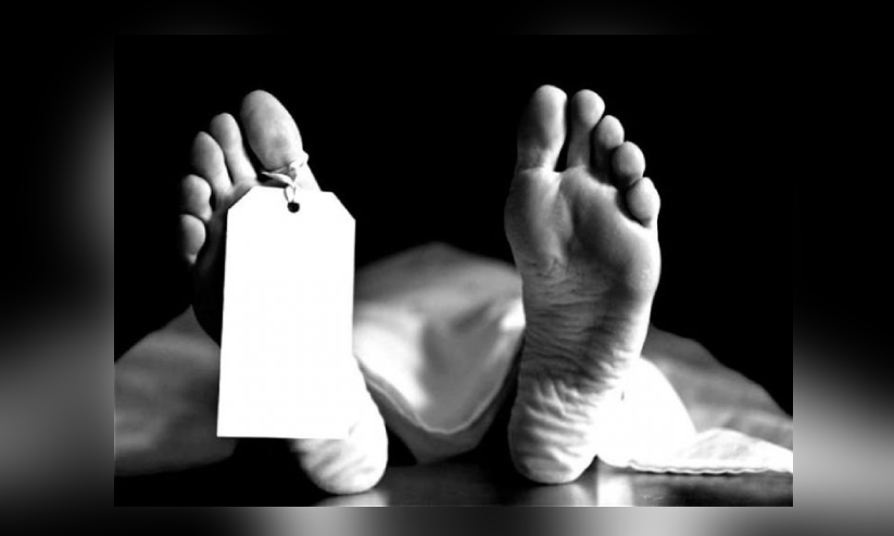 പ്ര​വാ​സി​ക​ളു​ടെ മൃ​ത​ദേ​ഹം നാ​ട്ടി​ലേ​ക്ക് കൊ​ണ്ടു​പോ​കാ​ൻ ഇ​കെ​യ​ർ പോ​ർ​ട്ട​ൽ