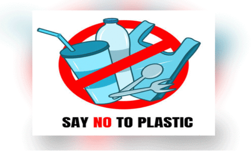 പു​തു​വ​ര്‍ഷ​ത്തി​ല്‍ റാ​സ​ല്‍ഖൈ​മ​യി​ല്‍ പ്ലാ​സ്റ്റി​ക് ബാ​ഗ്​ നി​രോ​ധ​നം