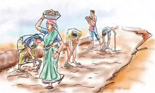 തൊഴിലുറപ്പ്​ ജോലിയിൽ വൻ ക്രമക്കേടുകൾ