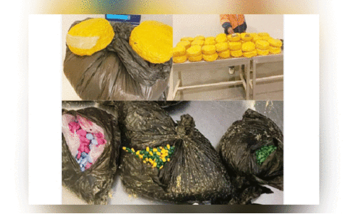 പി​ടി​കൂ​ടി​യ മ​യ​ക്കു​മ​രു​ന്ന്