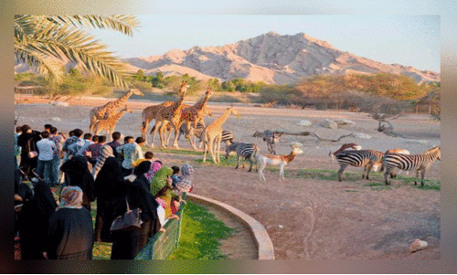 അൽഐൻ മൃഗശാലയിൽ പുതിയ സമയക്രമം