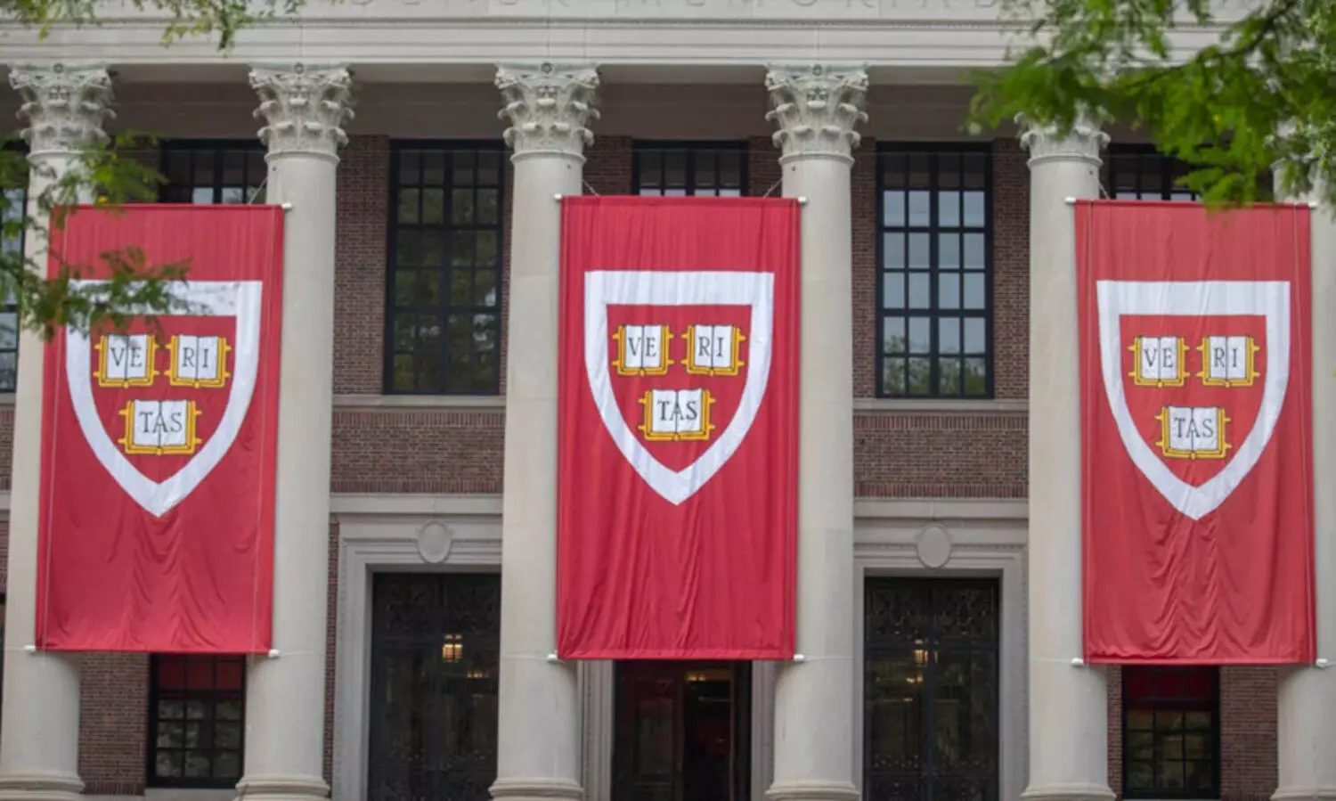 harvard university