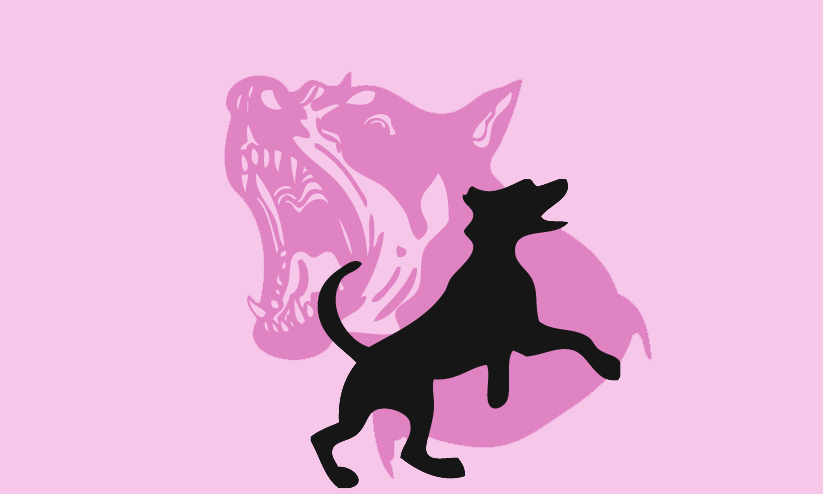 ചെക്കോട്ടിബസാറിൽ അഞ്ചുപേർക്ക് കുറുക്കന്റെ കടിയേറ്റു ചെക്കോട്ടിബസാറിൽ അഞ്ചുപേർക്ക് കുറുക്കന്റെ കടിയേറ്റു