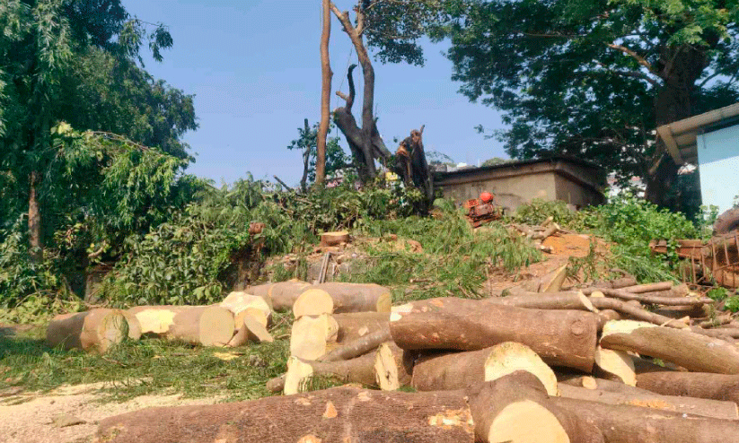 തളിപ്പറമ്പിൽ റവന്യൂ ടവർ  പ്രാരംഭ പ്രവൃത്തി തുടങ്ങി