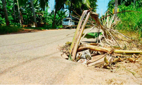 എൻ.ഐ.ടി-പുത്തൂർ റോഡിലെ ഗർത്തം അപകടഭീഷണിയാവുന്നു എൻ.ഐ.ടി-പുത്തൂർ റോഡിലെ ഗർത്തം അപകടഭീഷണിയാവുന്നു