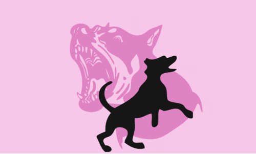 ചെക്കോട്ടിബസാറിൽ അഞ്ചുപേർക്ക് കുറുക്കന്റെ കടിയേറ്റു