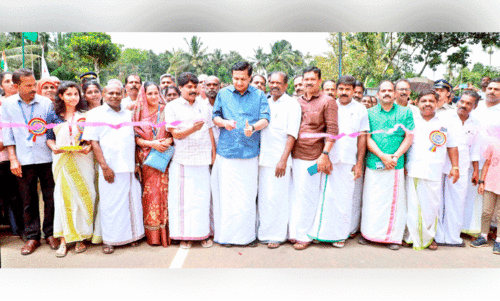 പാലങ്ങൾ ദീപാലംകൃതമാക്കി ടൂറിസ്റ്റ്കേന്ദ്രങ്ങളാക്കും -മന്ത്രി മുഹമ്മദ് റിയാസ്