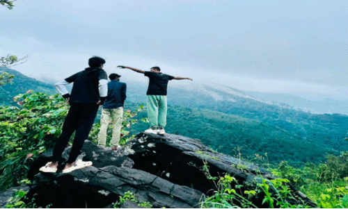 മഞ്ഞണിഞ്ഞ് ഏലപ്പീടിക