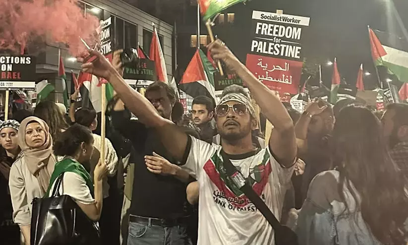 Pro-Palestinian Protestors