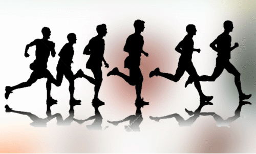 District sports fair