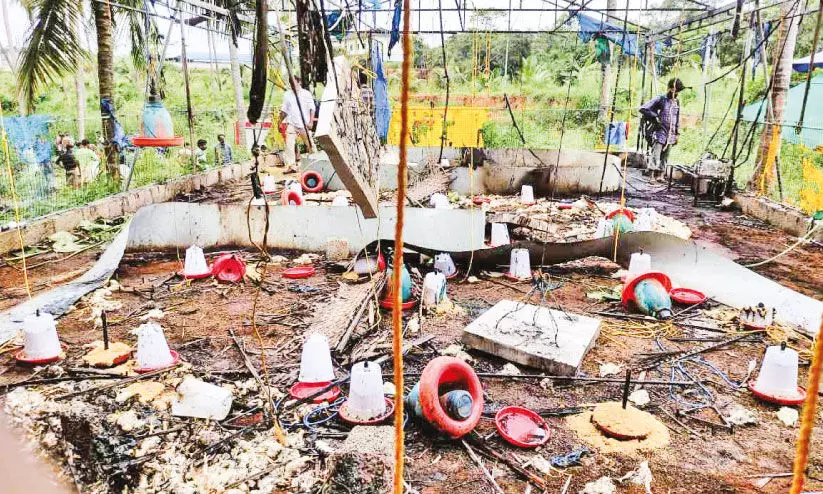 കാവനൂരിൽ കോഴിഫാമിൽ തീപിടിത്തം; 2500ഓളം കോഴിക്കുഞ്ഞുങ്ങൾ ചത്തു കാവനൂരിൽ കോഴിഫാമിൽ തീപിടിത്തം; 2500ഓളം കോഴിക്കുഞ്ഞുങ്ങൾ ചത്തു