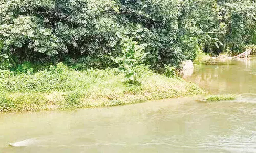 മ​ങ്കു​ണ്ടി​ലെ വെ​ള്ള​ക്കെ​ട്ട്: പ​രി​ഹാ​ര​മാ​യി പു​ഴ ന​വീ​ക​രി​ക്ക​ണ​മെ​ന്നാ​വ​ശ്യം