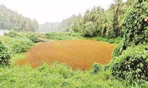 മാ​ഞ്ഞാ​മ്പ്ര കു​ള​ക്കാ​ട്ടു​കു​ളം സം​ര​ക്ഷ​ണം; സ​ന്ന​ദ്ധ പ്ര​വ​ർ​ത്ത​ന​ത്തി​ന് നാ​ട്ടു​കാ​ർ