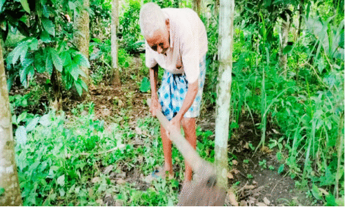 agriculture agriculture