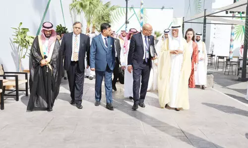 indian energy minister