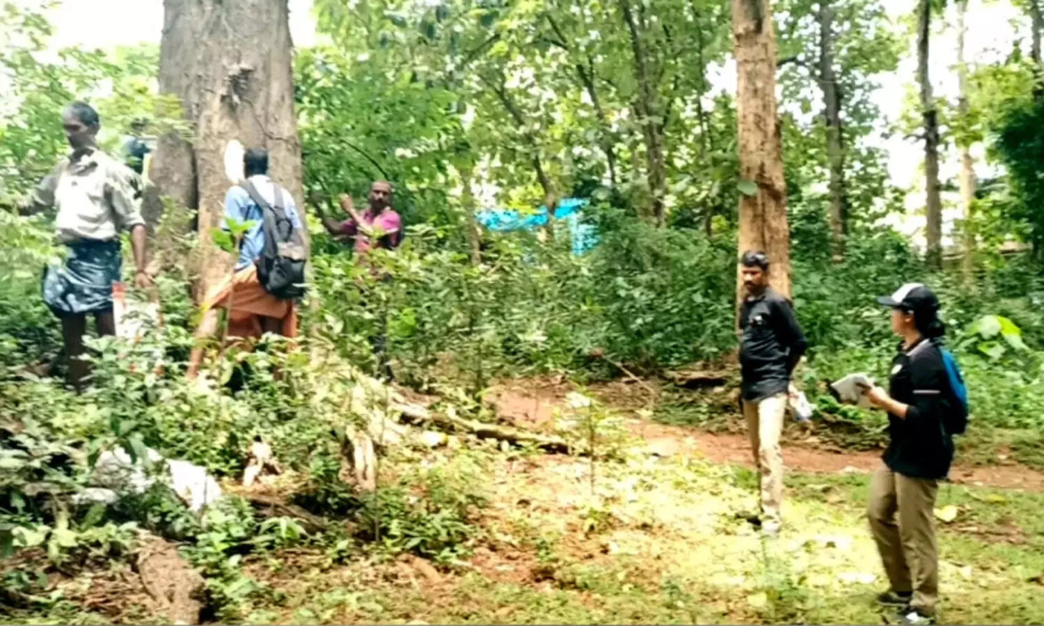 ഗ്രീ​ൻ ഫീ​ൽ​ഡ് ഹൈ​വേ വ​ന​ഭൂ​മി​യി​ലെ മ​ര​ങ്ങ​ൾ തി​ട്ട​പ്പെ​ടു​ത്ത​ൽ തു​ട​ങ്ങി