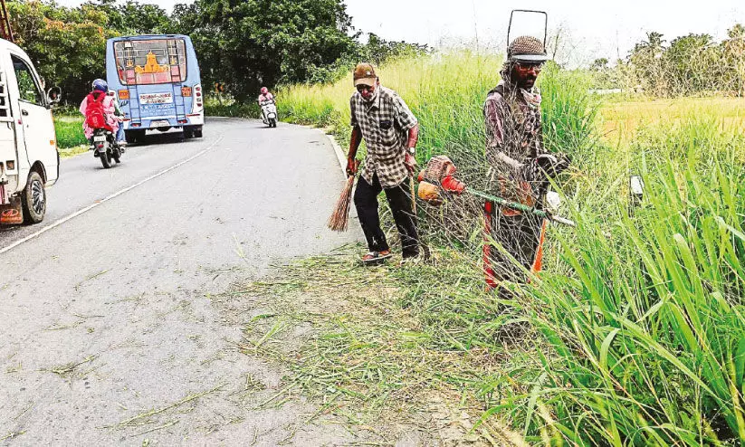 വടവന്നൂർ മന്ദംപുള്ളി വളവിലെ പാഴ്‌ച്ചെടികൾ നീക്കിത്തുടങ്ങി