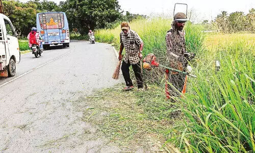 വടവന്നൂർ മന്ദംപുള്ളി വളവിലെ പാഴ്‌ച്ചെടികൾ നീക്കിത്തുടങ്ങി